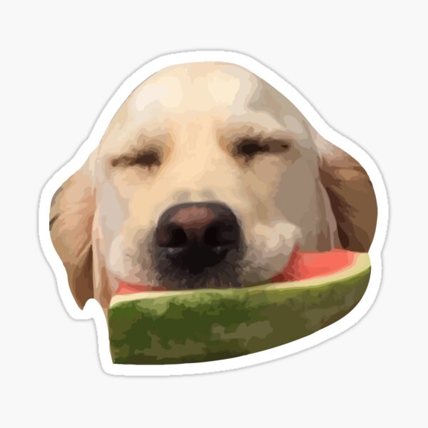 Watermelon Eating Dog