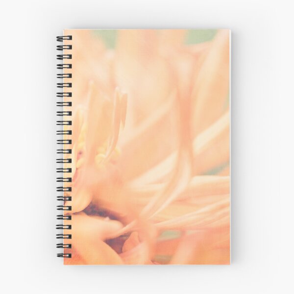 Item preview, Precious Peach Zinnia Mellow Macro designed and sold by gingerfancy.