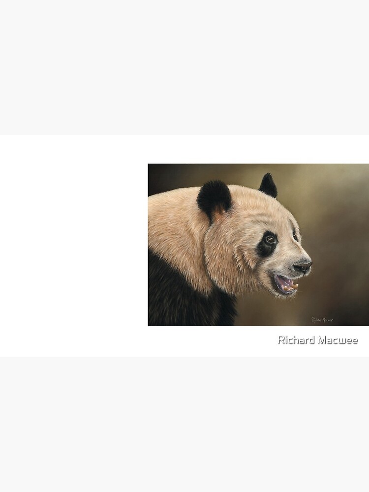 Giant Panda by richardmacwee