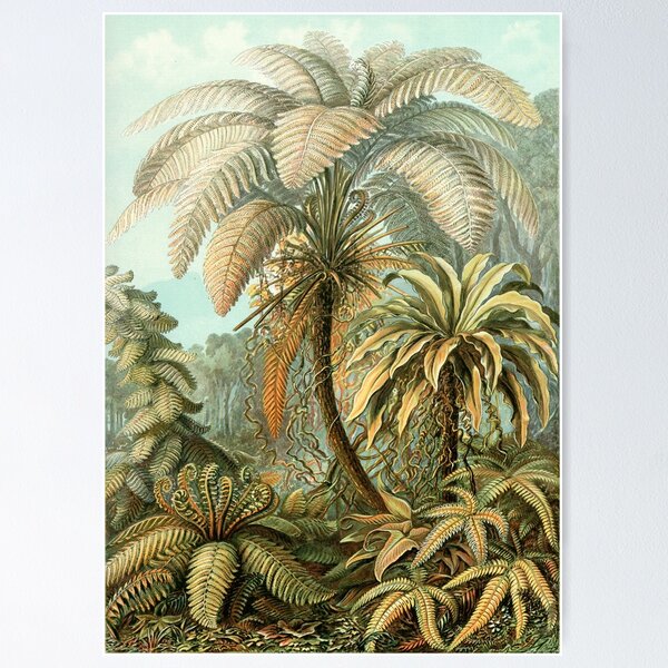 Item preview, Vintage Tropical Palm Illustration Painting Artwork designed and sold by livianasgifts.