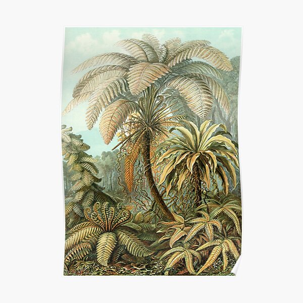 Vintage Tropical Palm Illustration Painting Artwork Poster
