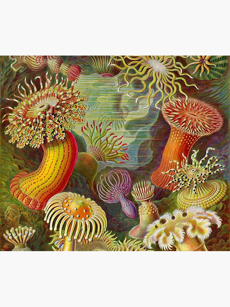 Artwork view, Vintage Sealife Underwater designed and sold by livianasgifts