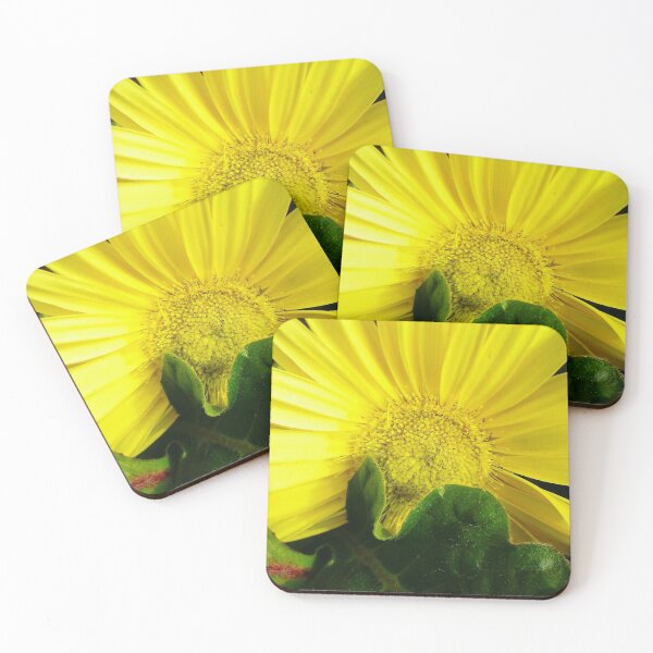 Item preview, Sunflower Behind Dark Green Leaf designed and sold by Capuletdesigns.