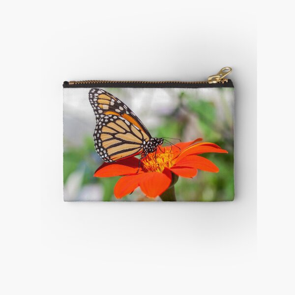Item preview, Monarch 2018-19 designed and sold by Thomasyoung.