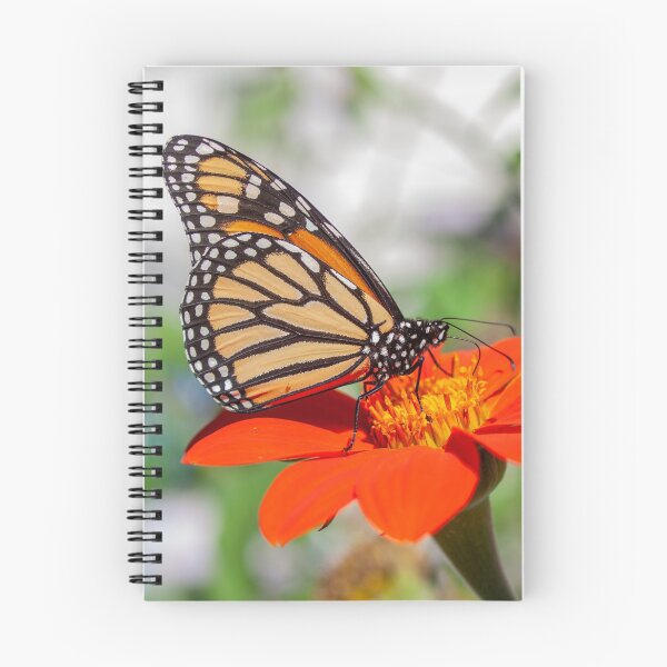 Item preview, Monarch 2018-19 designed and sold by Thomasyoung.