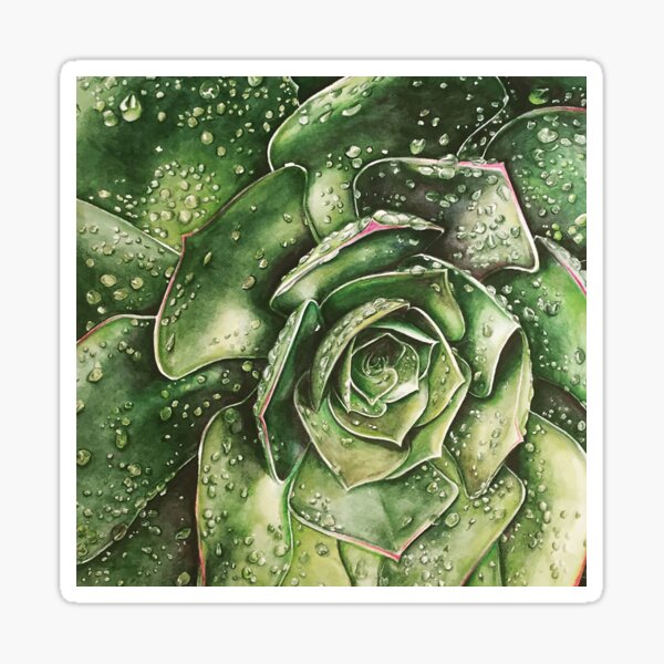 Morning Dew Sticker