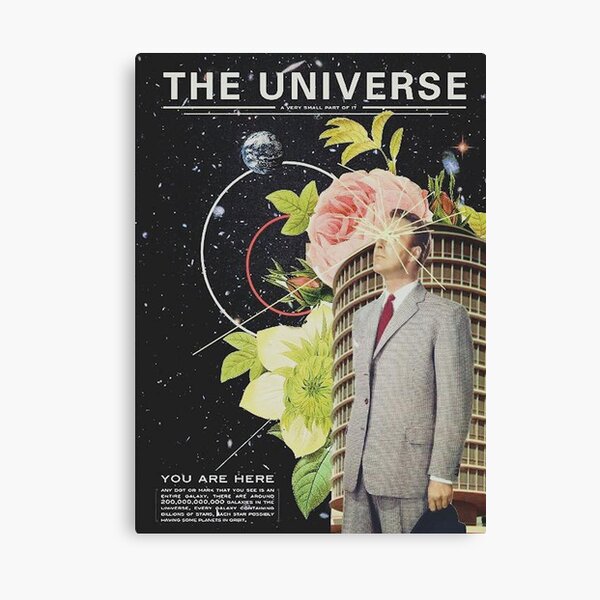 The Universe Canvas Print