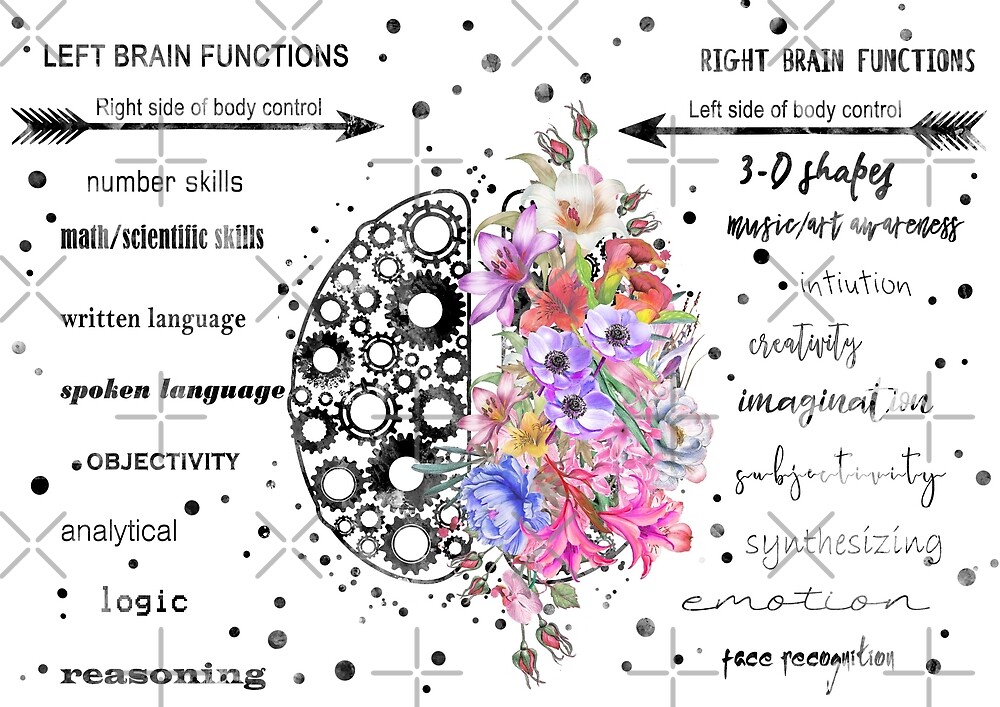 « Fonction cérébrale gauche et droite » par Rosaliartbook Redbubble