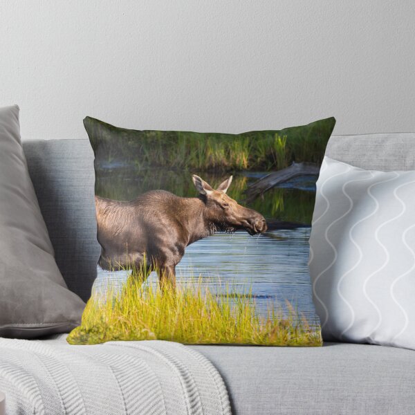 Item preview, Moose Sighting Greenville, Maine.  designed and sold by TKPhotos.
