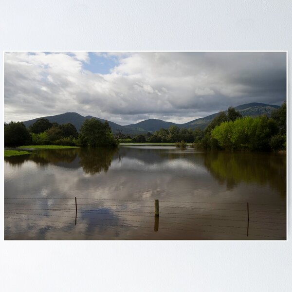 Item preview, Instant Wetlands designed and sold by diazy05.