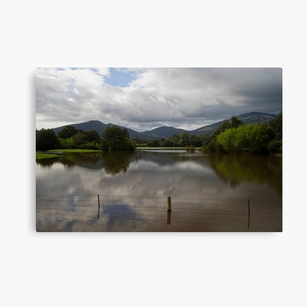Item preview, Instant Wetlands designed and sold by diazy05.