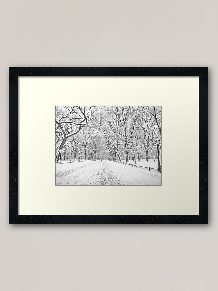 "Central Park Poet's Walk New York City" Framed Art Print for Sale