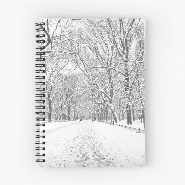 Item preview, Central Park - Poet's Walk - New York City designed and sold by Vivienne Gucwa.