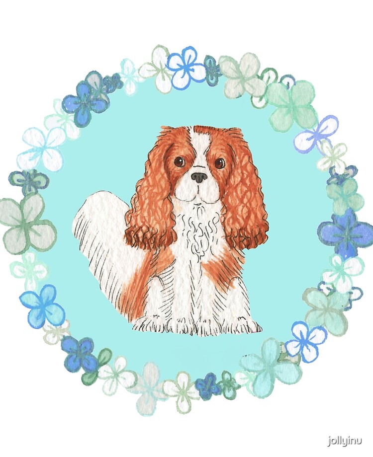 blue cavalier king charles spaniel