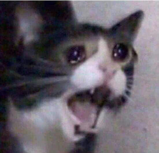 Póster «Triste gato llorando» de KinnyBoi | Redbubble