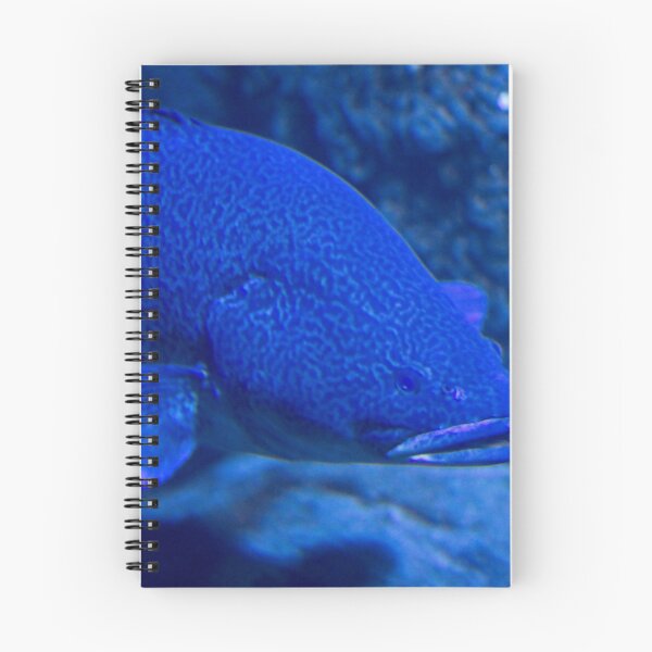 Item preview, Animal Portrait - Fish designed and sold by Wolf Sverak Photography.