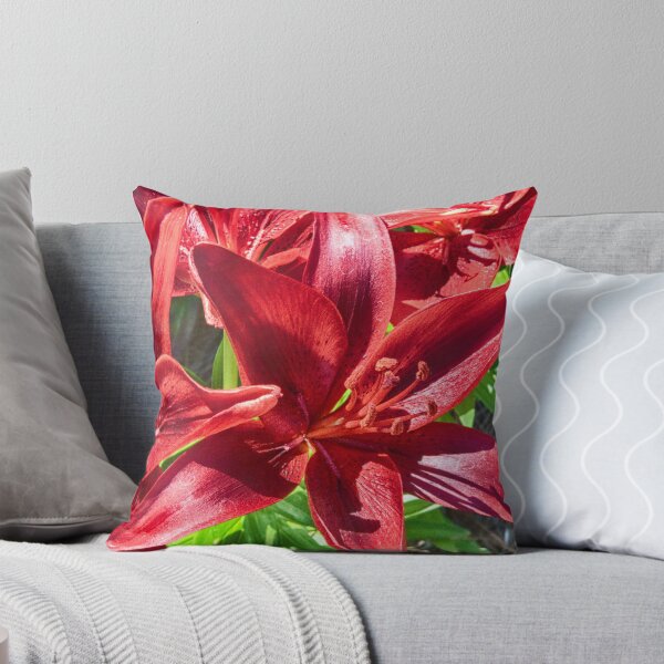 Item preview, Brilliant Reds designed and sold by ishotit4u.