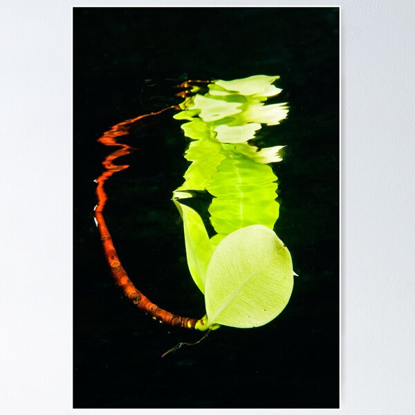 Item preview, Leaf Reflection designed and sold by muzy.