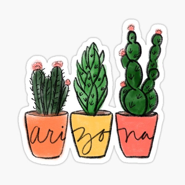 Item preview, Arizona Cacti Sticker designed and sold by lindsayyt8.