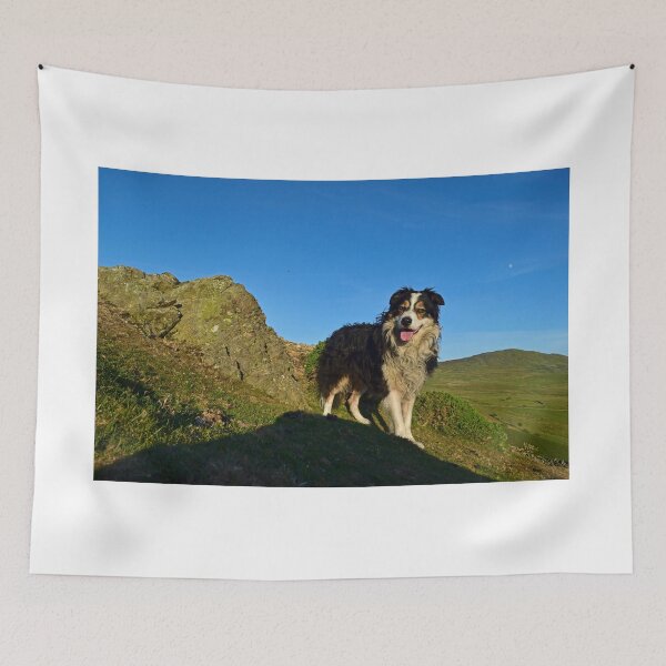 Item preview, Moonlighting. designed and sold by Michael Haslam.