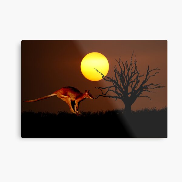 Boing! Metal Print