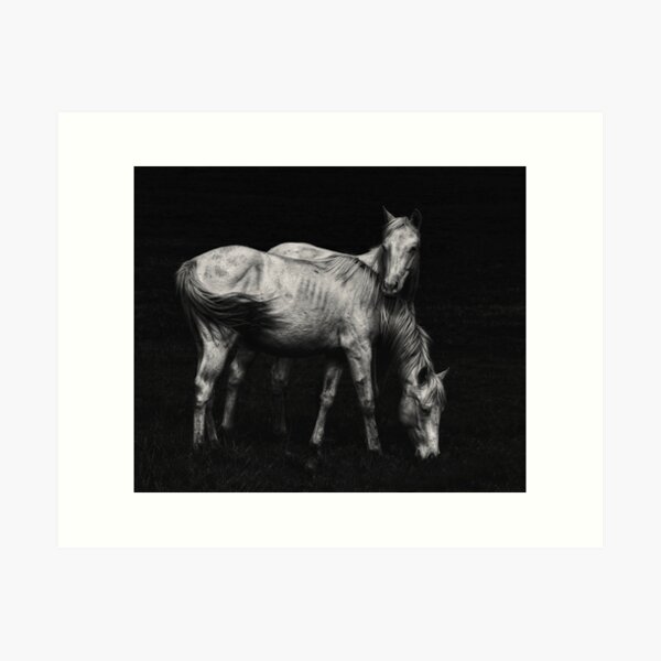 Wild Horses Art Print