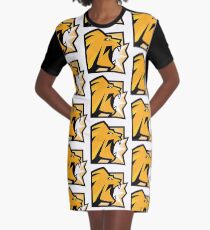 RB6 Siege Lion Icon - Fan Art Graphic T-Shirt Dress