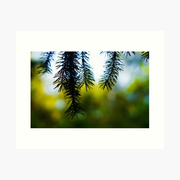 Item preview, Pine Branches designed and sold by Selfridgej.