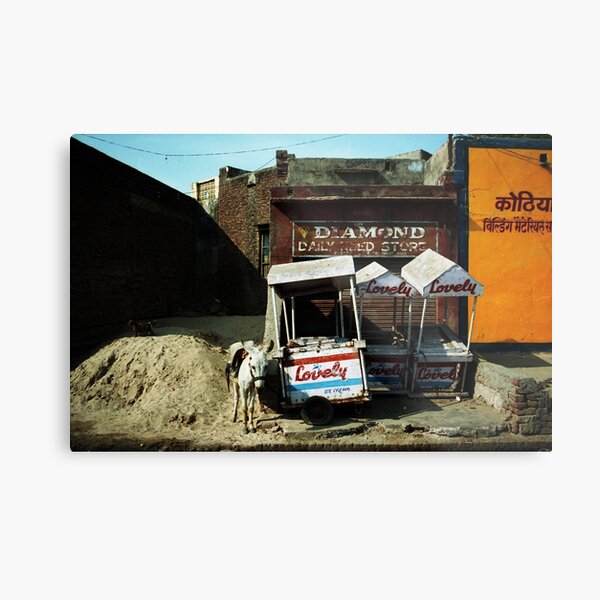 Donkeylove Metal Print