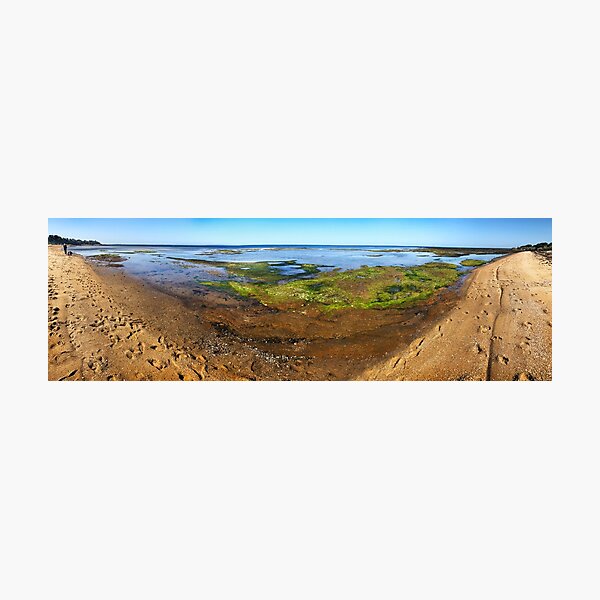 Rickett's Point Panorama Photographic Print