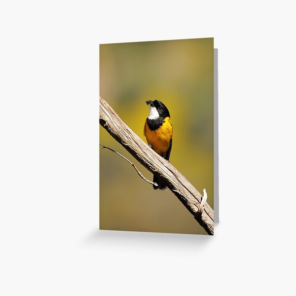 Item preview, A Golden Hue designed and sold by CBoyle.
