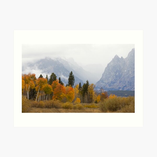 Cascade Canyon, Snow Showers & Fall Color Art Print