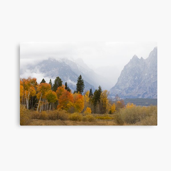 Cascade Canyon, Snow Showers & Fall Color Metal Print
