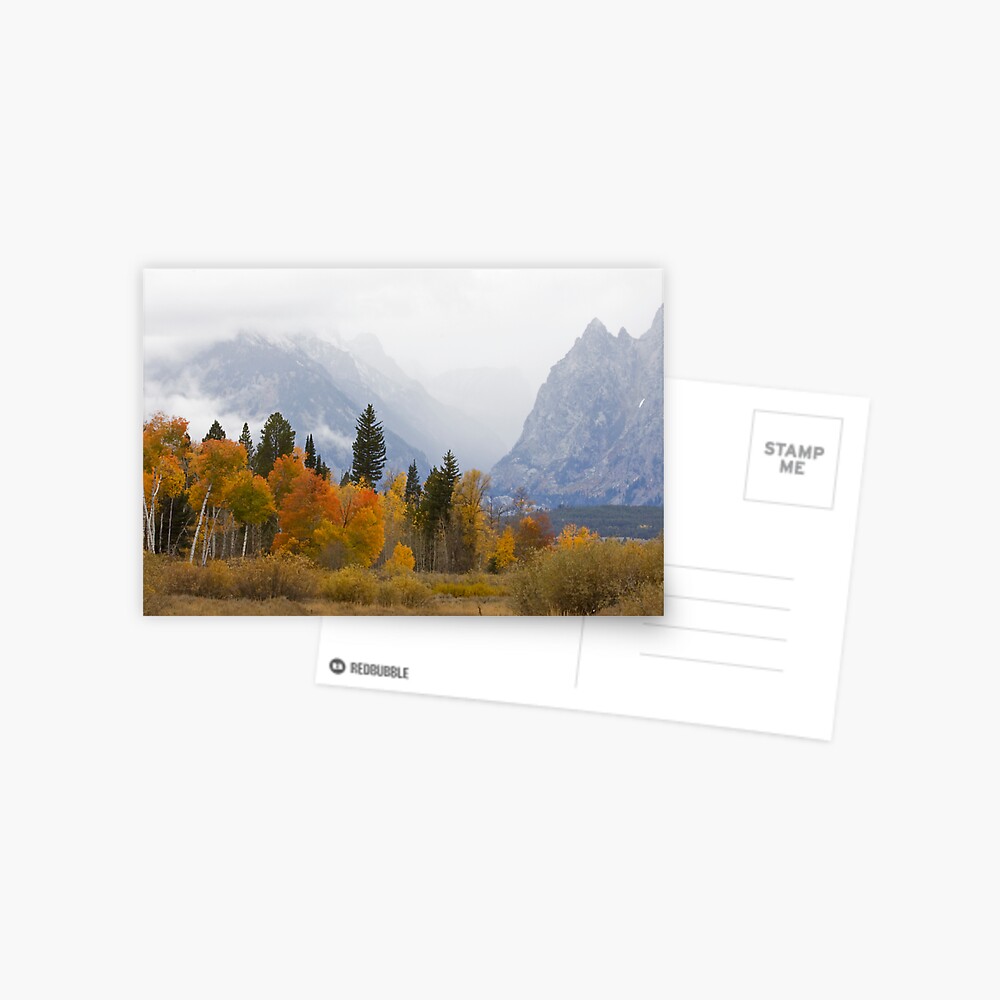 Cascade Canyon, Snow Showers & Fall Color Postcard