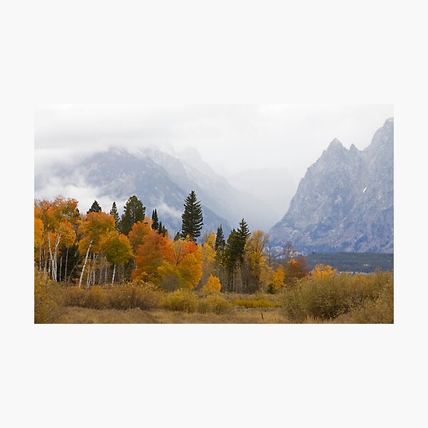 Grand Teton Nationalpark Fotodruck
