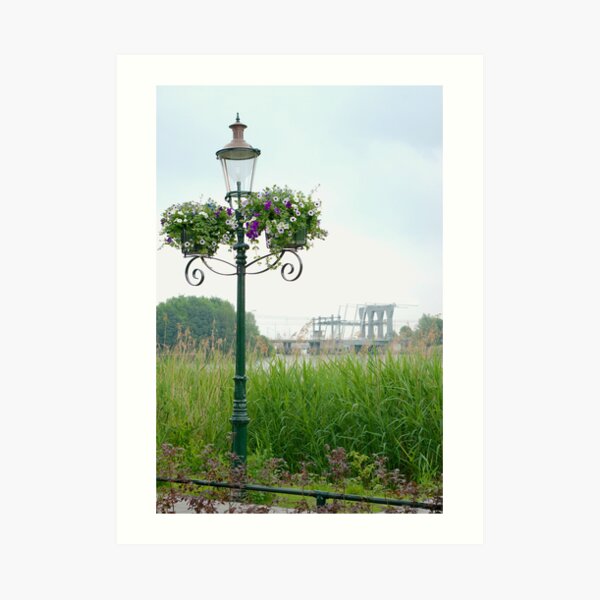 View on the River Vecht Art Print