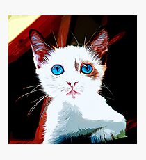 gxp cute cat blue eyes vector art Photographic Print