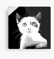gxp cute cat blue eyes vector art black white Metal Print