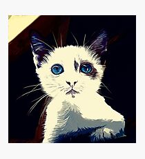 gxp cute cat blue eyes vector art foggy night Photographic Print