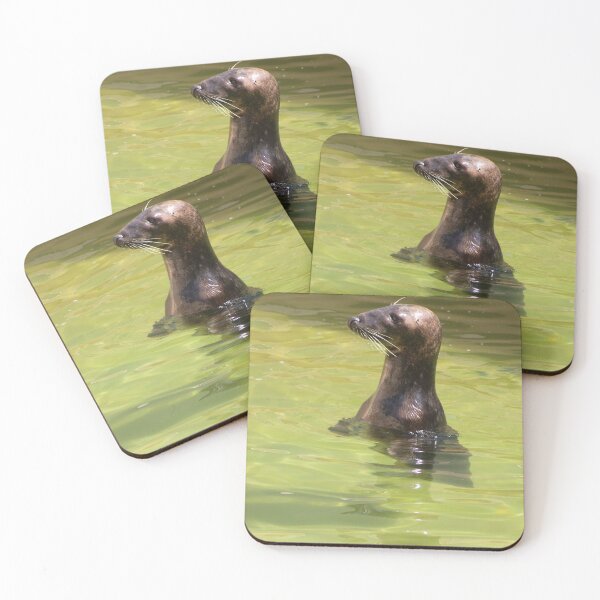 Item preview, Halichoerus grypus designed and sold by Mythos57.