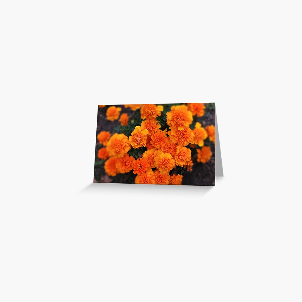 Item preview, Greeting Card designed and sold by santoshputhran.