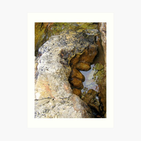 Art Print