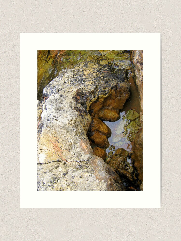 Thumbnail 1 of 3, Art Print, PIECE OF MAGICK FROM THE BEACH designed and sold by TatianaMichaela.