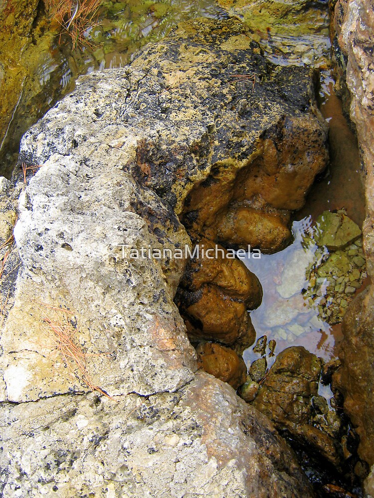Thumbnail 3 of 3, Art Print, PIECE OF MAGICK FROM THE BEACH designed and sold by TatianaMichaela.