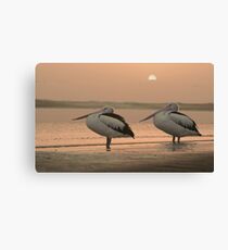 Pelican Sunrise Canvas Print