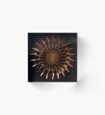 Bronze Incendia Acrylic Block