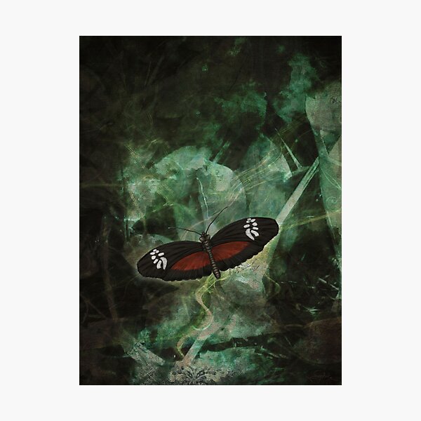 The Blues Photographic Print