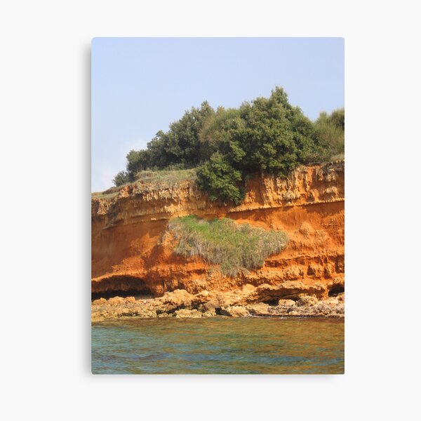 SEA POEM IN RED Canvas Print