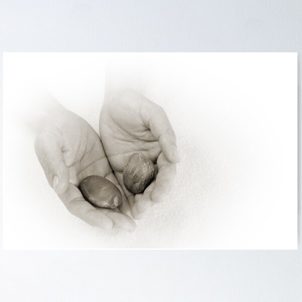 Hands: Wellness Poster