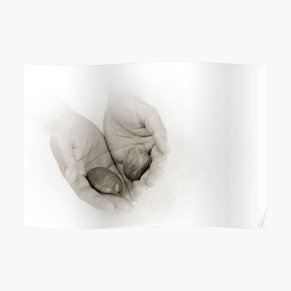 Hands: Wellness Poster